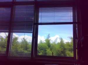 Foto dari jendela kantor